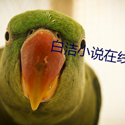 白洁小说在线阅读