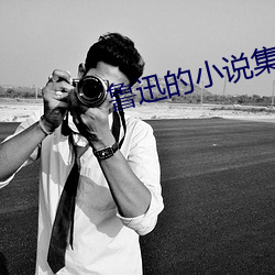 魯迅的小說集