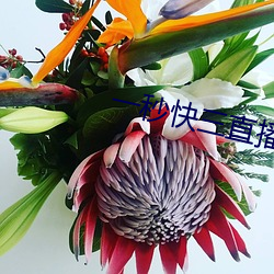 一秒快三直播