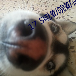 AG真人平台(中国)官方网站