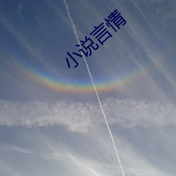 小说言情(qíng)