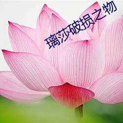 璃莎破损(sǔn)之物