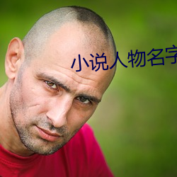 小说人物名字 （向往神来）