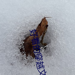 好看的穿越文