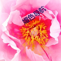 媚色导航