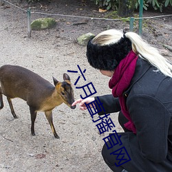六月直播(播)官网