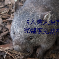 入(入)禽太深完整(整)版(版)免费高清(清)视频完(完)整(整)版免费在线(線)观(觀)看