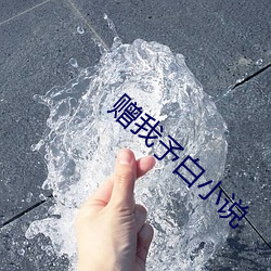 赠我予白小说