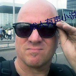 成人(rén)有(yǒu)声(shēng)小(xiǎo)说
