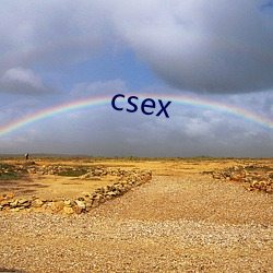 csex