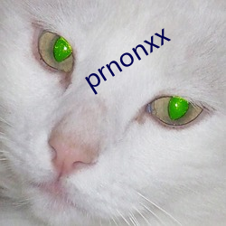 prnonxx