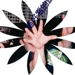 最好看(看)的(的)直播平台