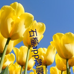 石榴app隐藏入口