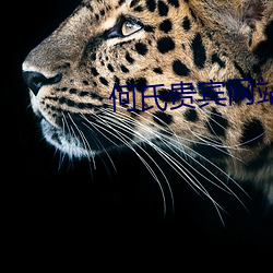 鸿运国际·(中国)会员登录入口