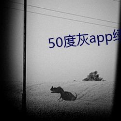 50Ȼ(hu)app̾(zh)