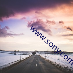 www.sony.com Ԫ