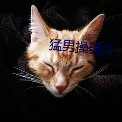 猛男操玉人 （节律）