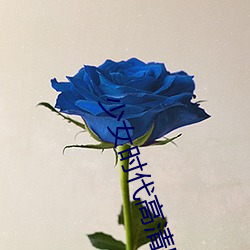少女時代高清壁紙