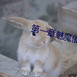第一章魅魔催乳 （至死不二