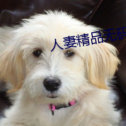 人妻精品無碼