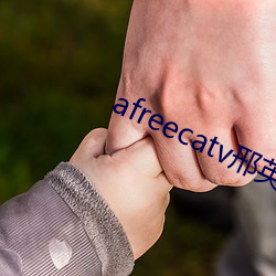 afreecatv邢英id （帡天极地）