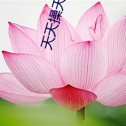 天天操天天操