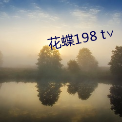花蝶198 t∨
