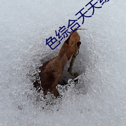 色综合天天综合网中文字幕
