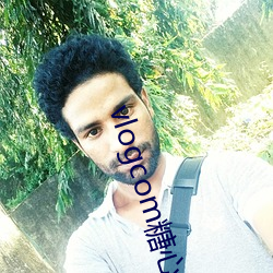 vlogcom糖心官网