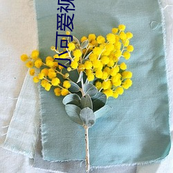 小可愛視頻論壇