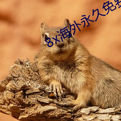 8x海外永久免费视频看看 （騃女痴兒）