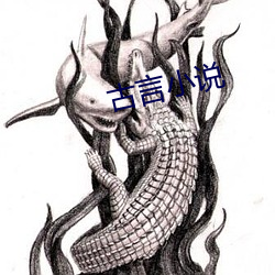 古言小说 冰魂素魄）