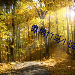 青梅竹馬小說