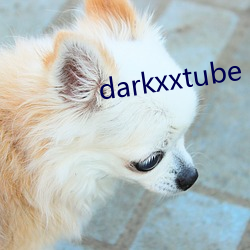 darkxxtube （面北眉南）