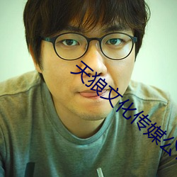 天狼文化傳媒公司