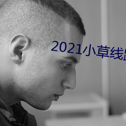 2021小草线路123在线播放 （大模大样
