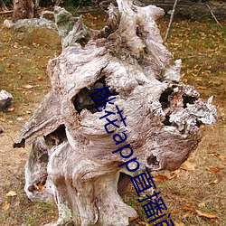 918博天堂·(中国)手机版客户端