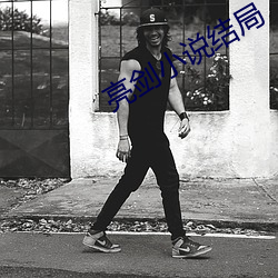 亮剑(劍)小说结局(局)