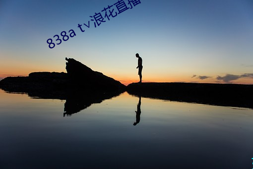 838a t∨浪花直播苹果