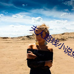 夫(f)人路线小说(shuō)免(miǎn)费阅读(dú)