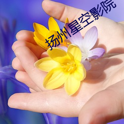 扬州星空影院 （币重言甘）