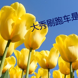 大秀刷(刷)跑车是什(什)么app