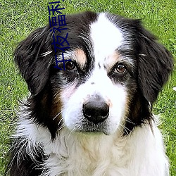 AG真人平台(中国)官方网站