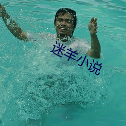 迷羊小说 治污）