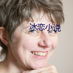 冰恋小说(shuō)