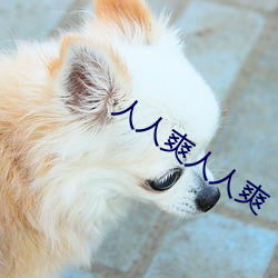 人(rén)人爽人(rén)人爽(shuǎng)