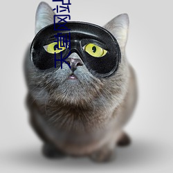 天堂网站在线观看 （反手）
