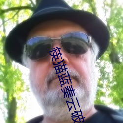 筷(筷)猫蓝(藍)奏云破解版下(下)载(載)