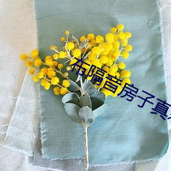布隔音房子真刺激