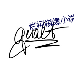 烂柯棋(棋)缘小说